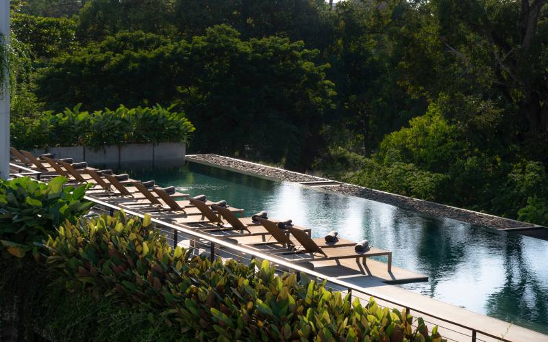 Treeline Urban Resort - Siem Reap - pool